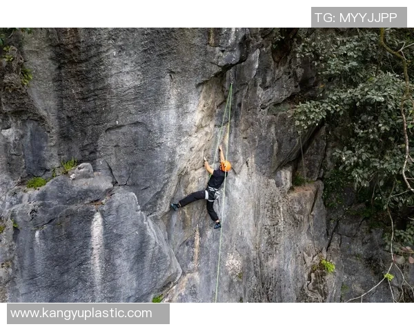 攀岩评论：广州攀岩队的运营得失